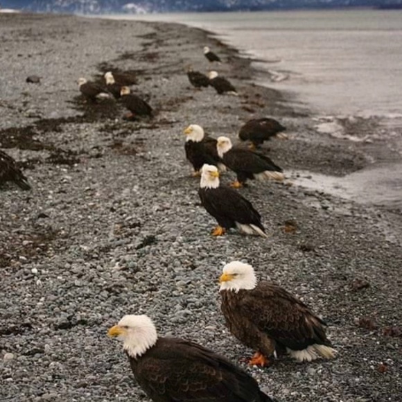 MEET THE POSHERS - Picture 14 of 16